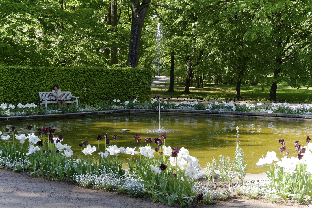 20160509-152622••SrodmieScie•Masovian Voivodeship•Poland